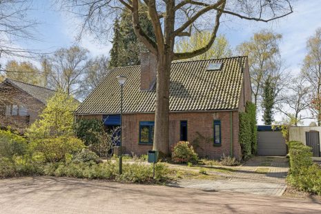 Sleedoorn 8 hoofdfoto