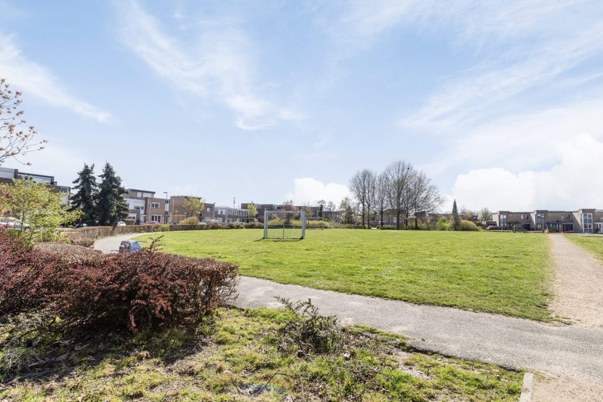 Gelaarsde Kat 34 foto 33