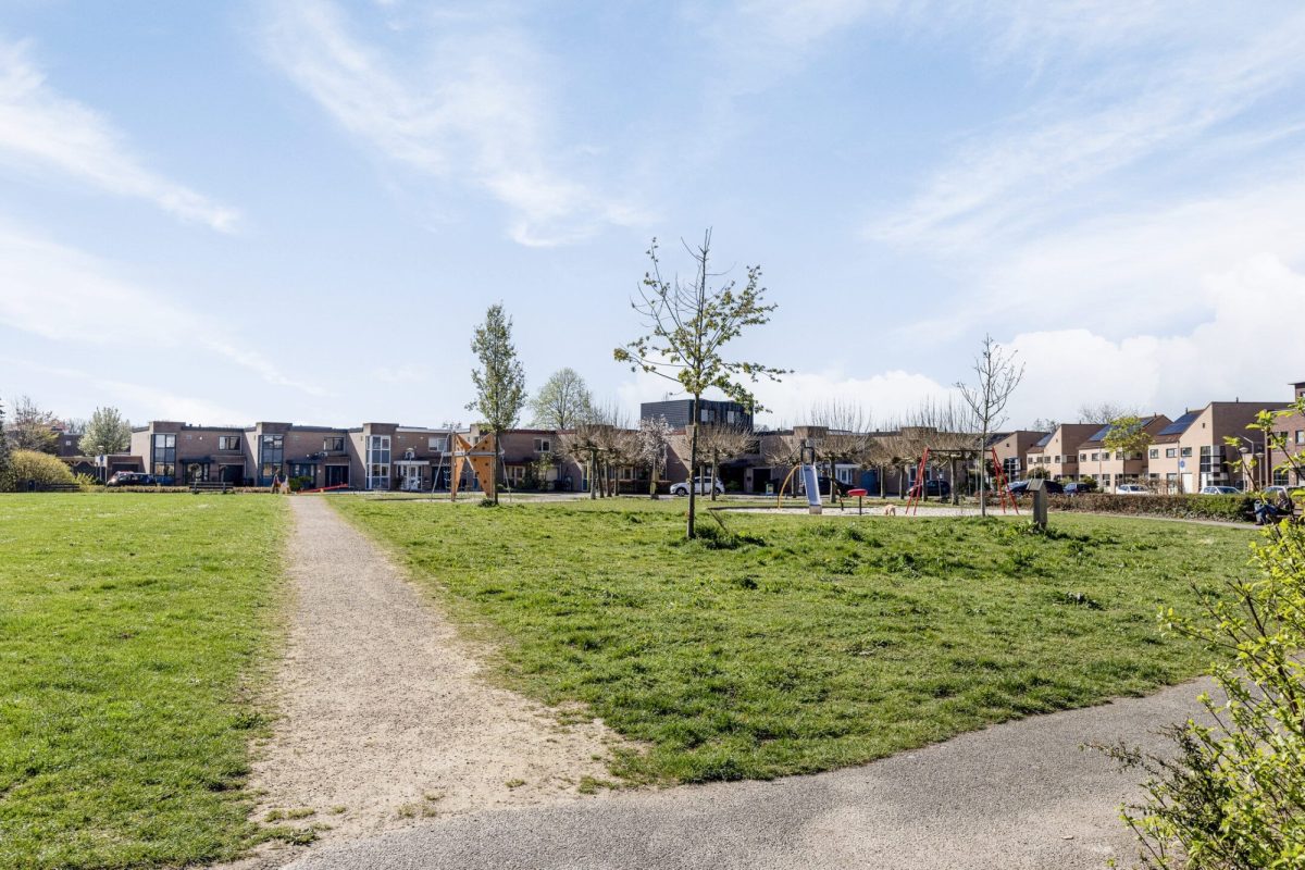 Gelaarsde Kat 34 foto 34