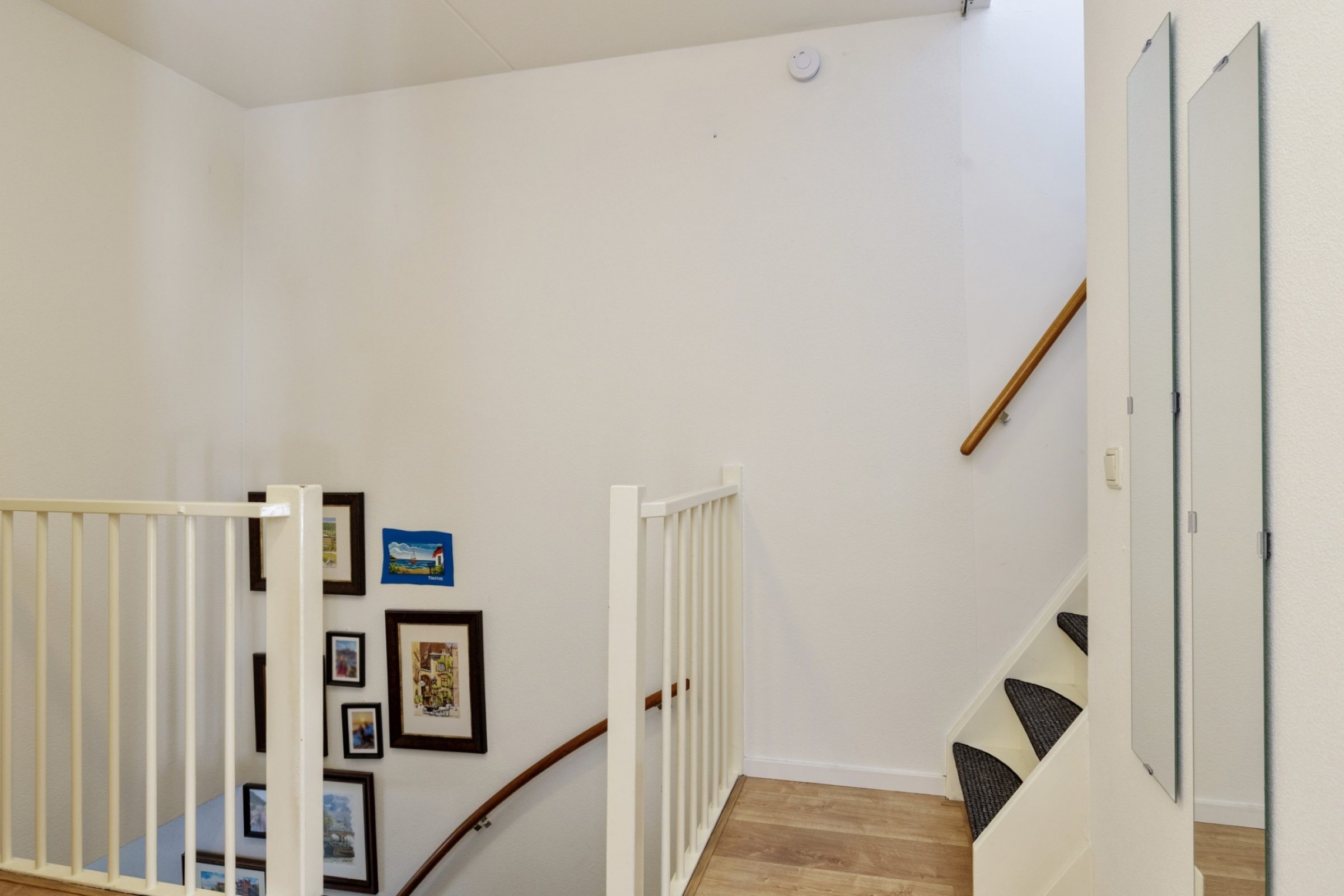 Gelaarsde Kat 34 foto 14