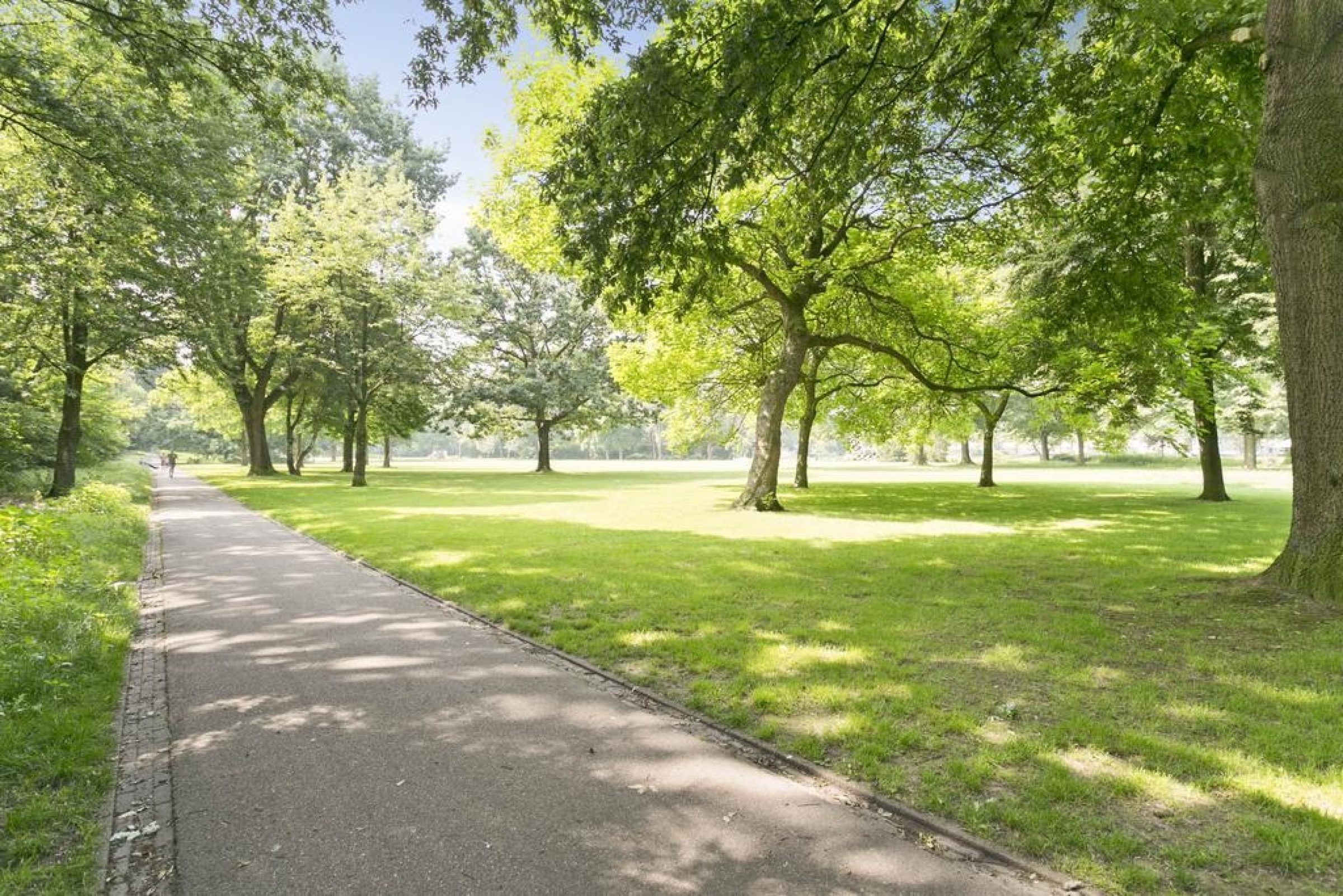 Bokrijkstraat 1 foto 35
