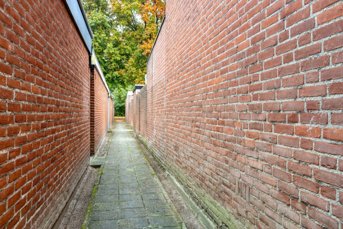 Adelaertstraat 25 foto 29