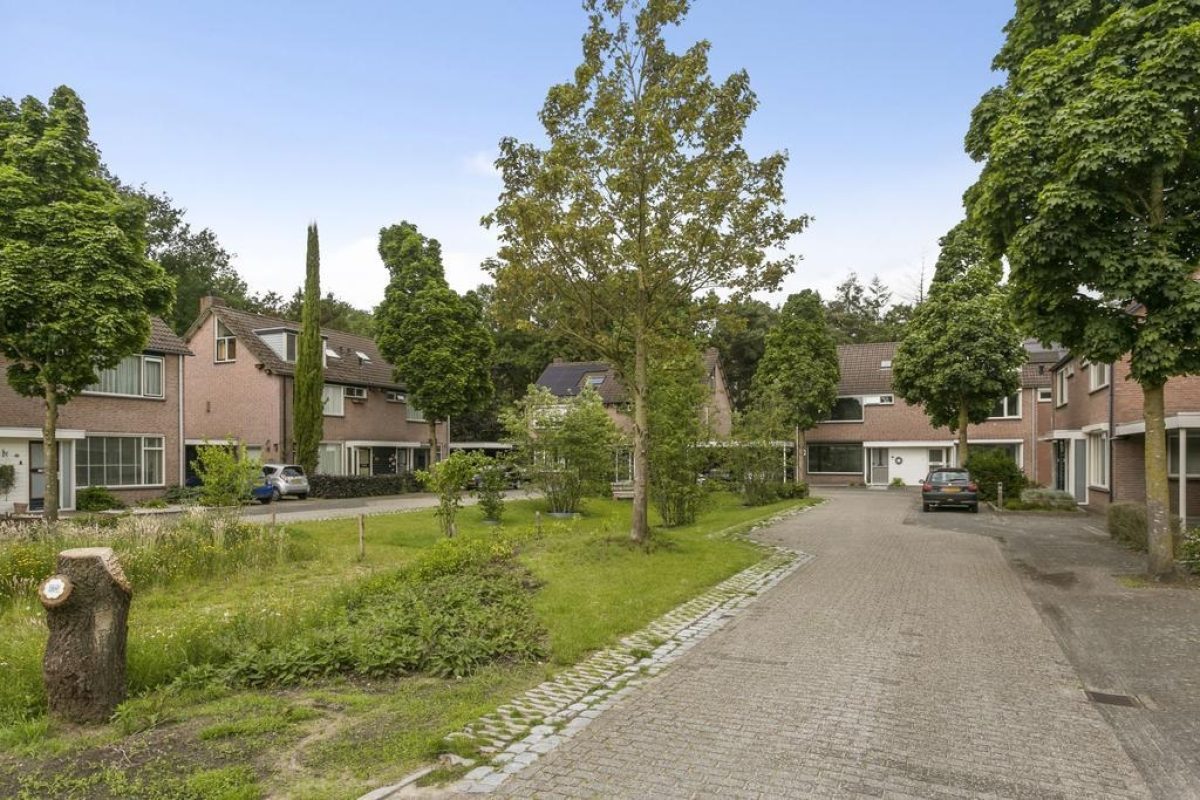Speelweide 36 foto 51