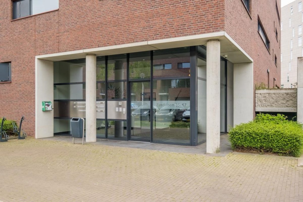 Zandbloem 47 foto