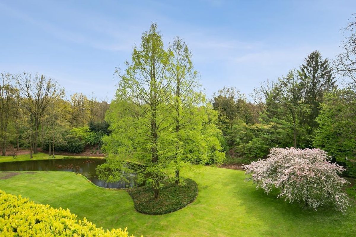 Javalaan 119 foto 35