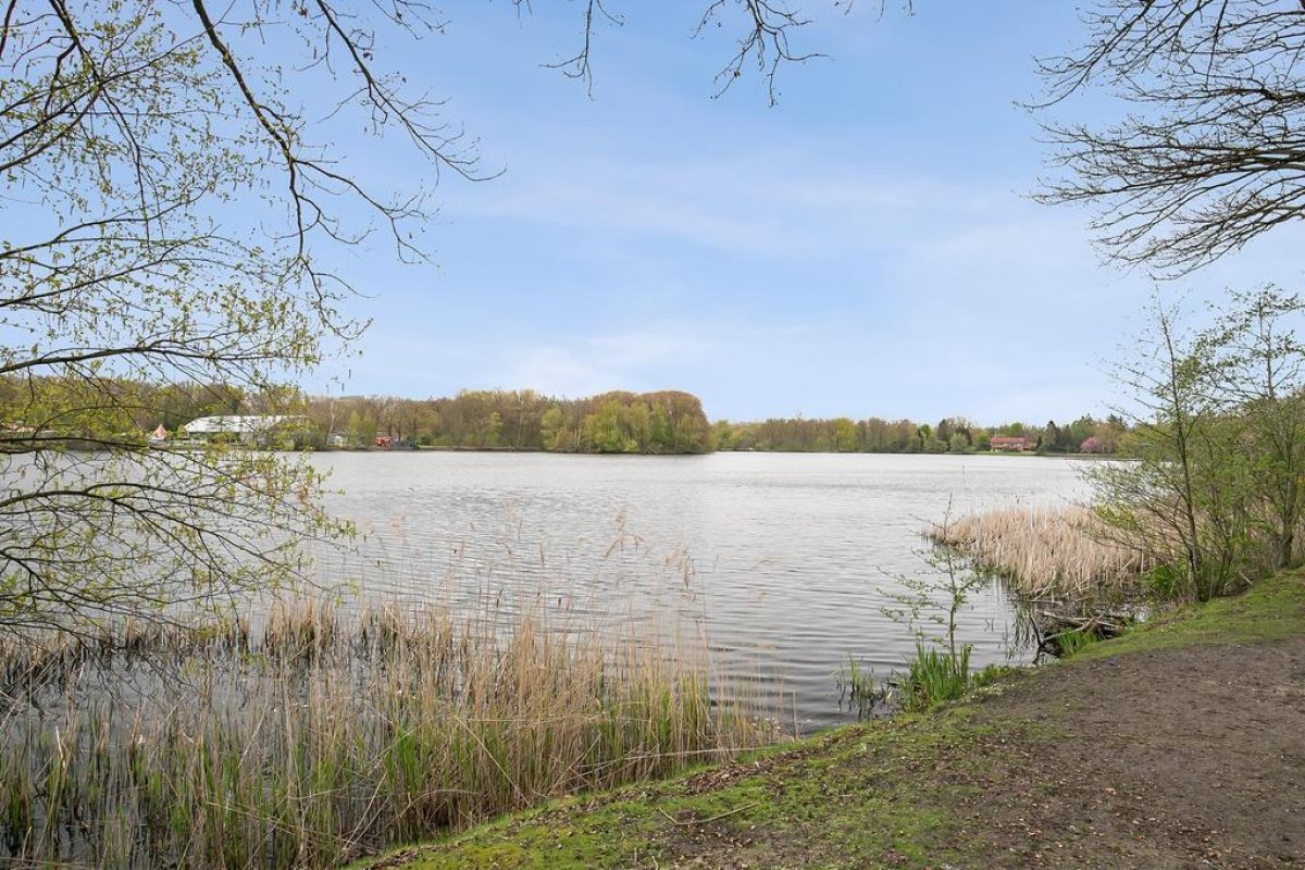 Javalaan 119 foto 43