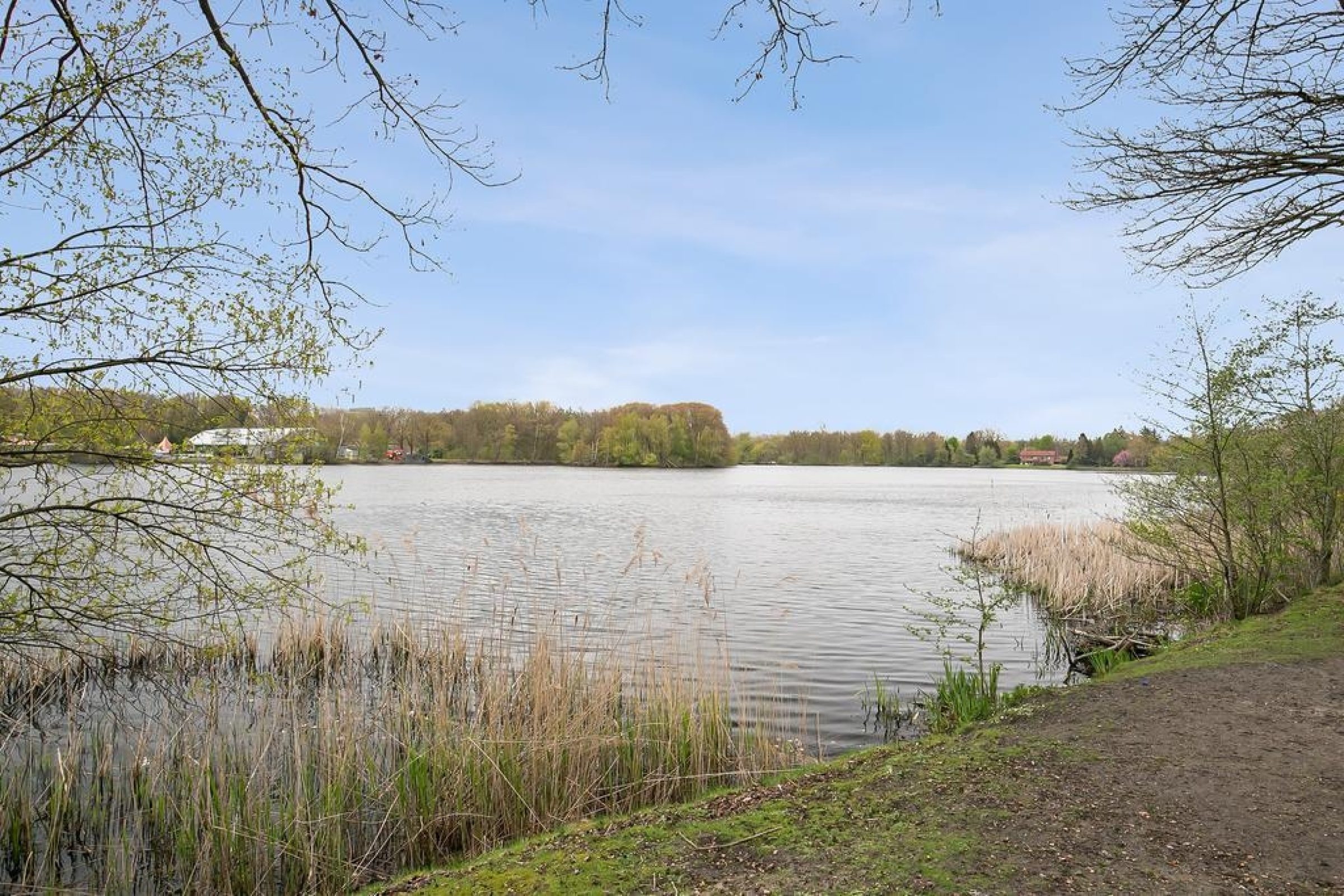 Javalaan 119 foto 43