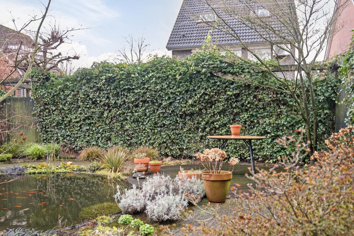 Gotthardpas 56 foto 36