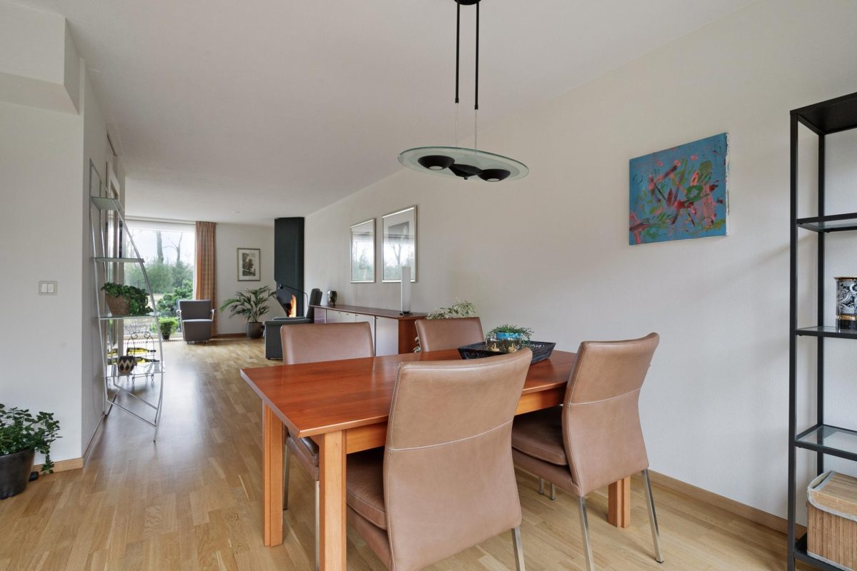 Gotthardpas 56 foto 5