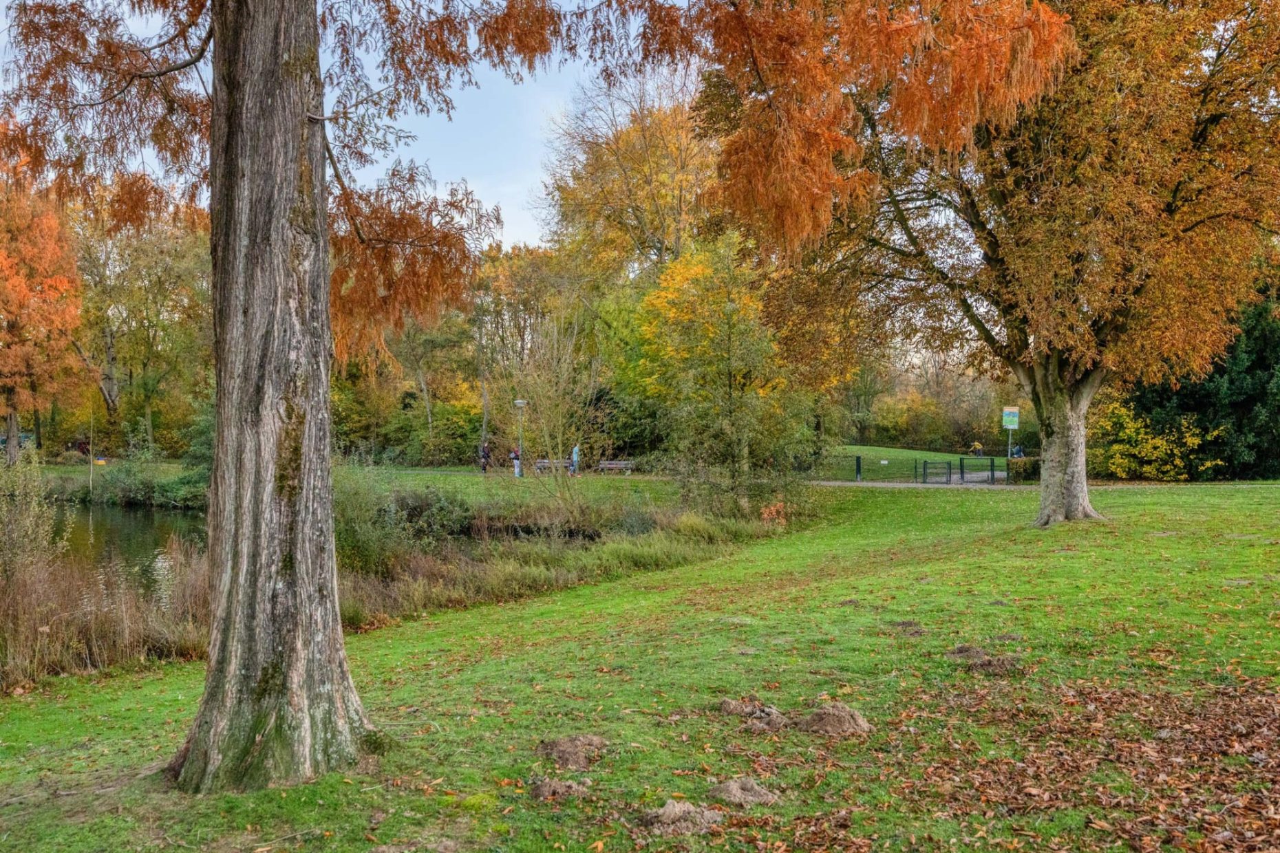 Schouwenlaan 16 foto 38