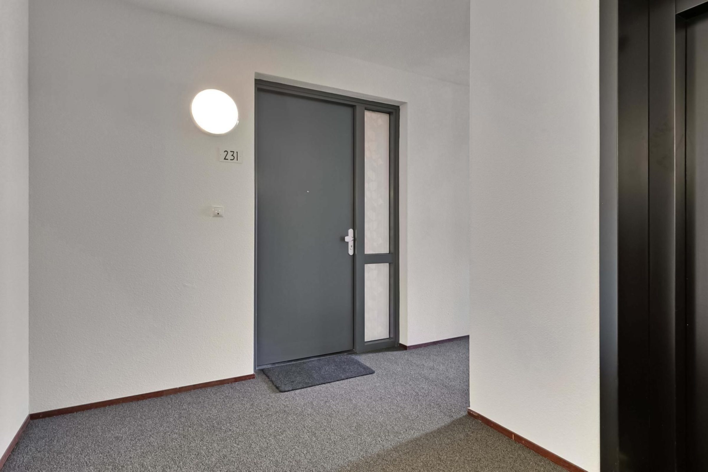 Ds Theodor Fliednerstraat 231 foto 10