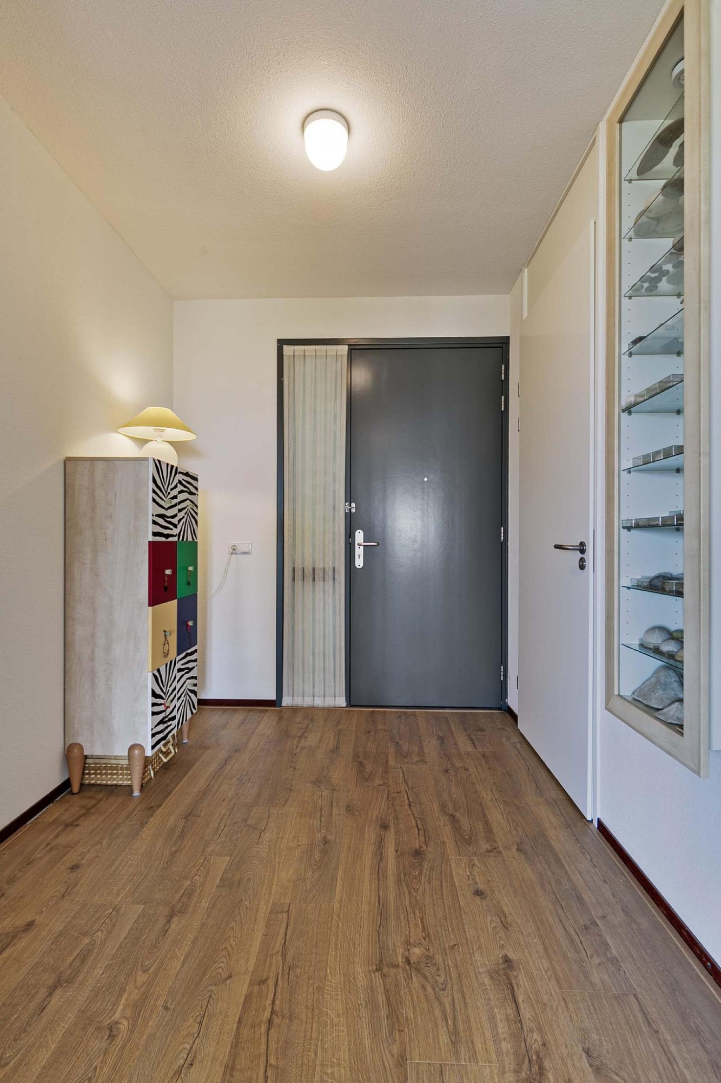 Ds Theodor Fliednerstraat 231 foto 11
