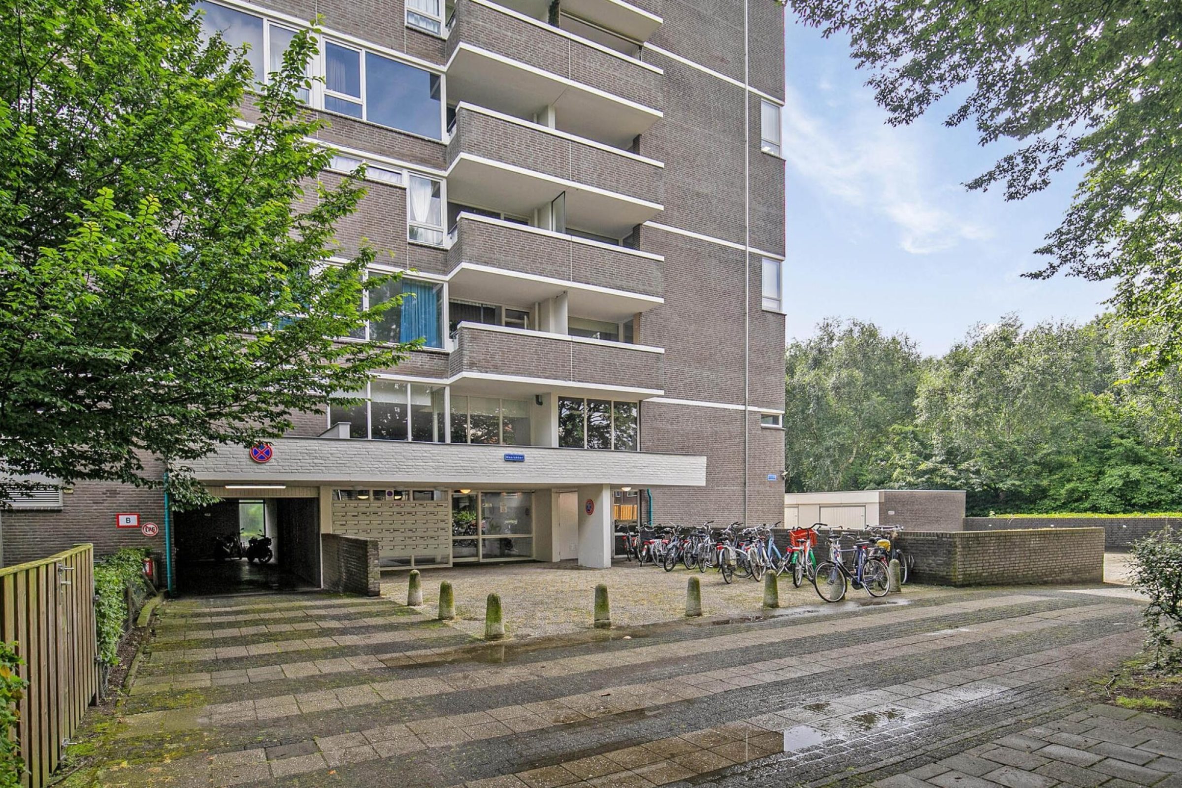 Maalakker 54 foto