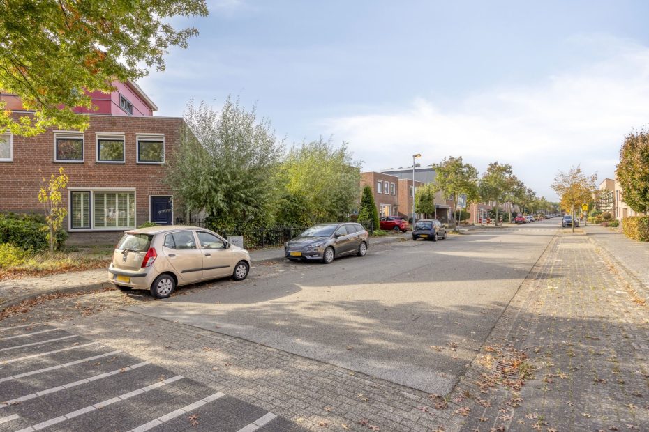 Gelaarsde Kat 1 foto 29