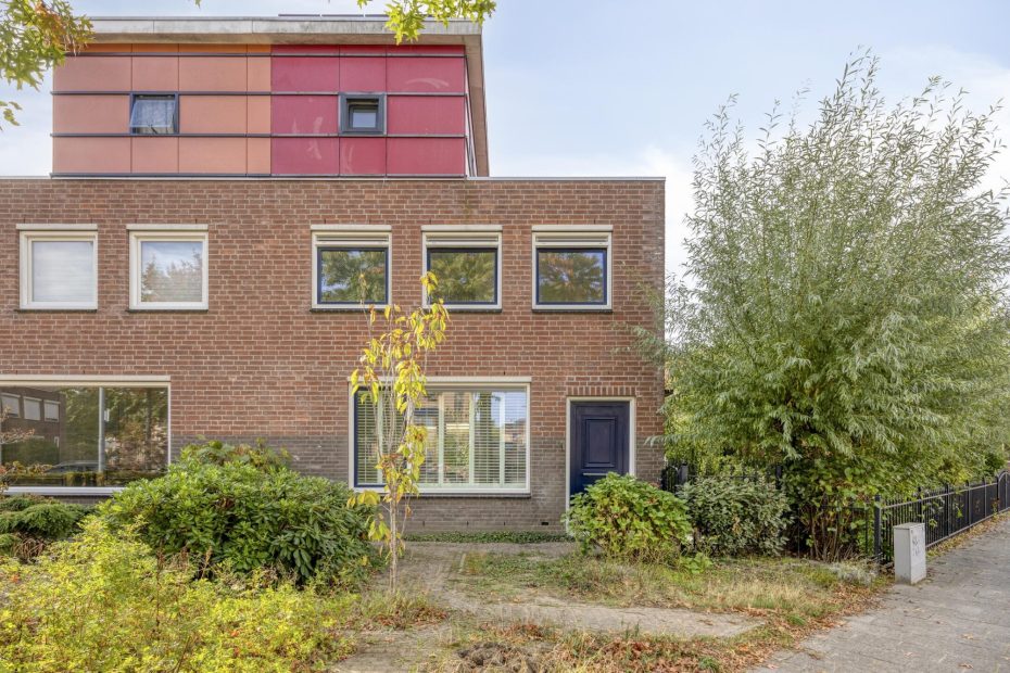 Gelaarsde Kat 1 hoofdfoto