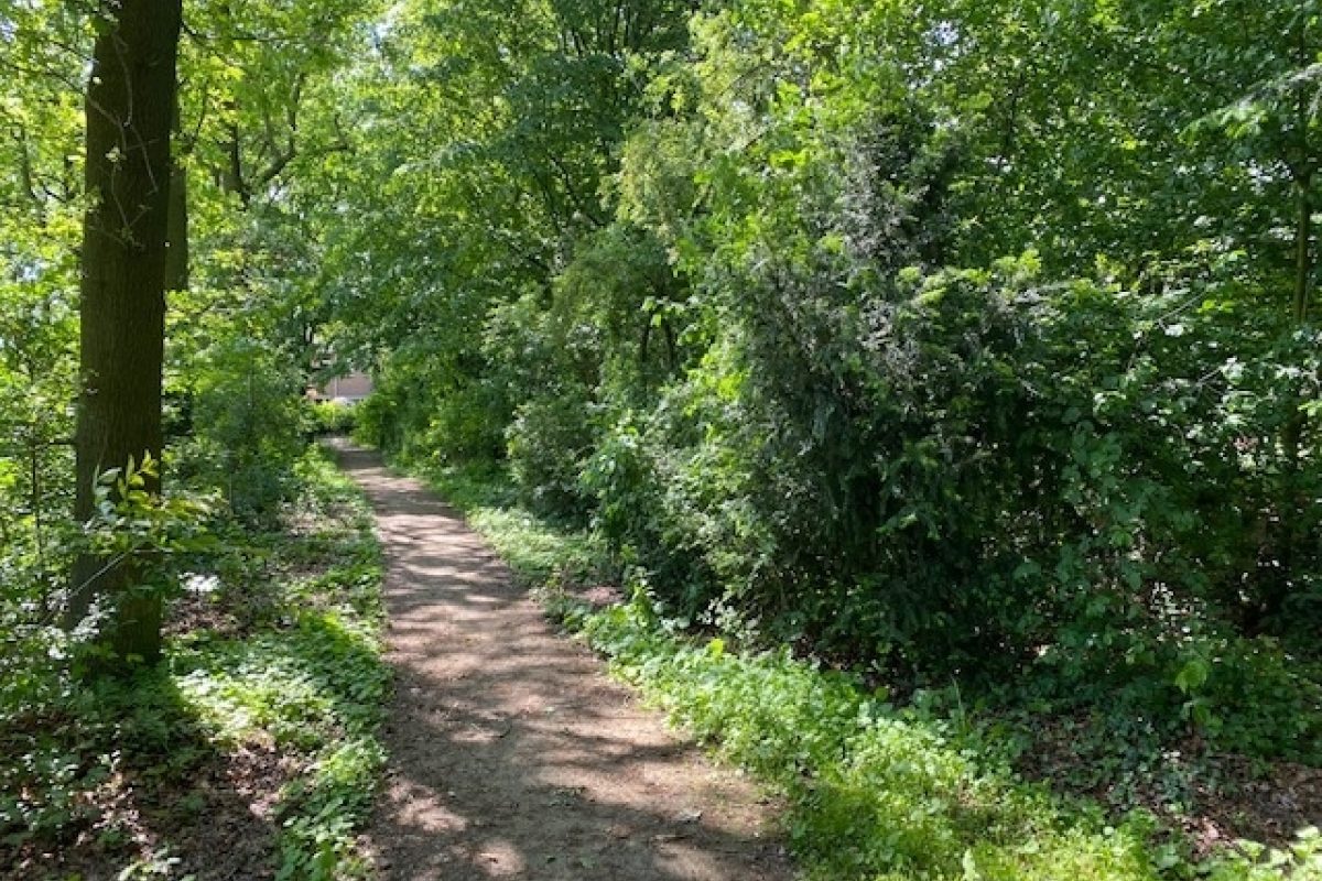 Zonnedauw 9 foto 39