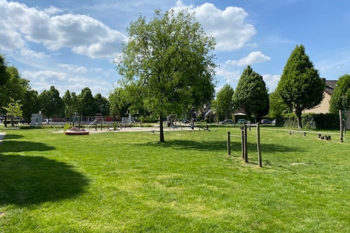 Zonnedauw 9 foto 42