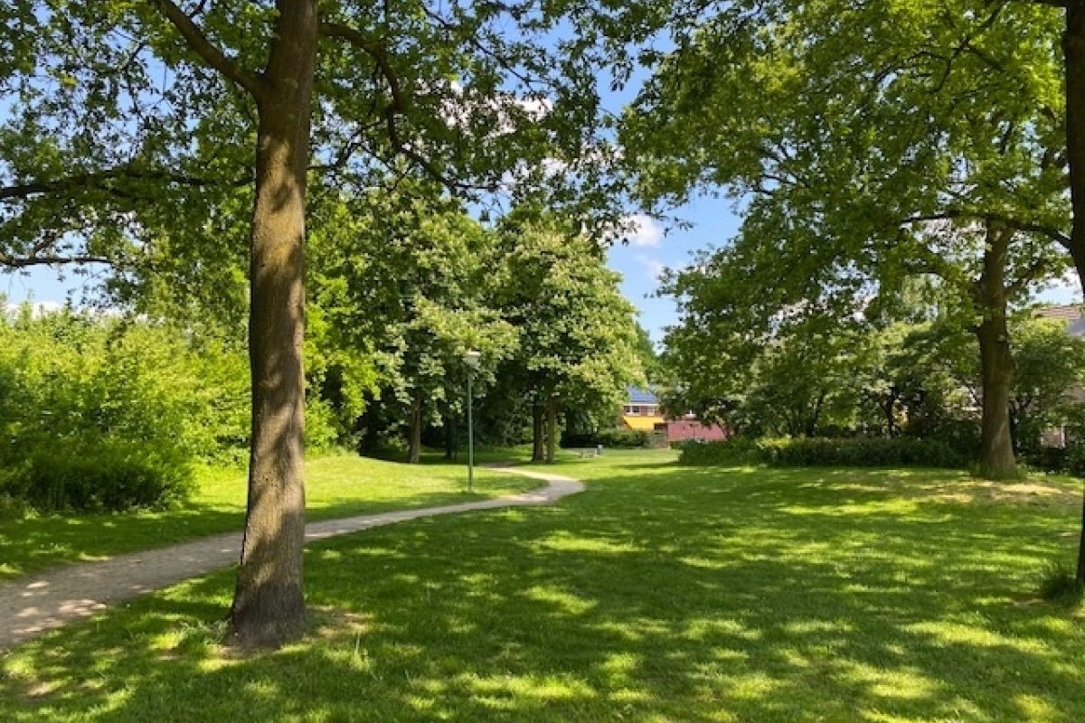 Zonnedauw 9 foto 44