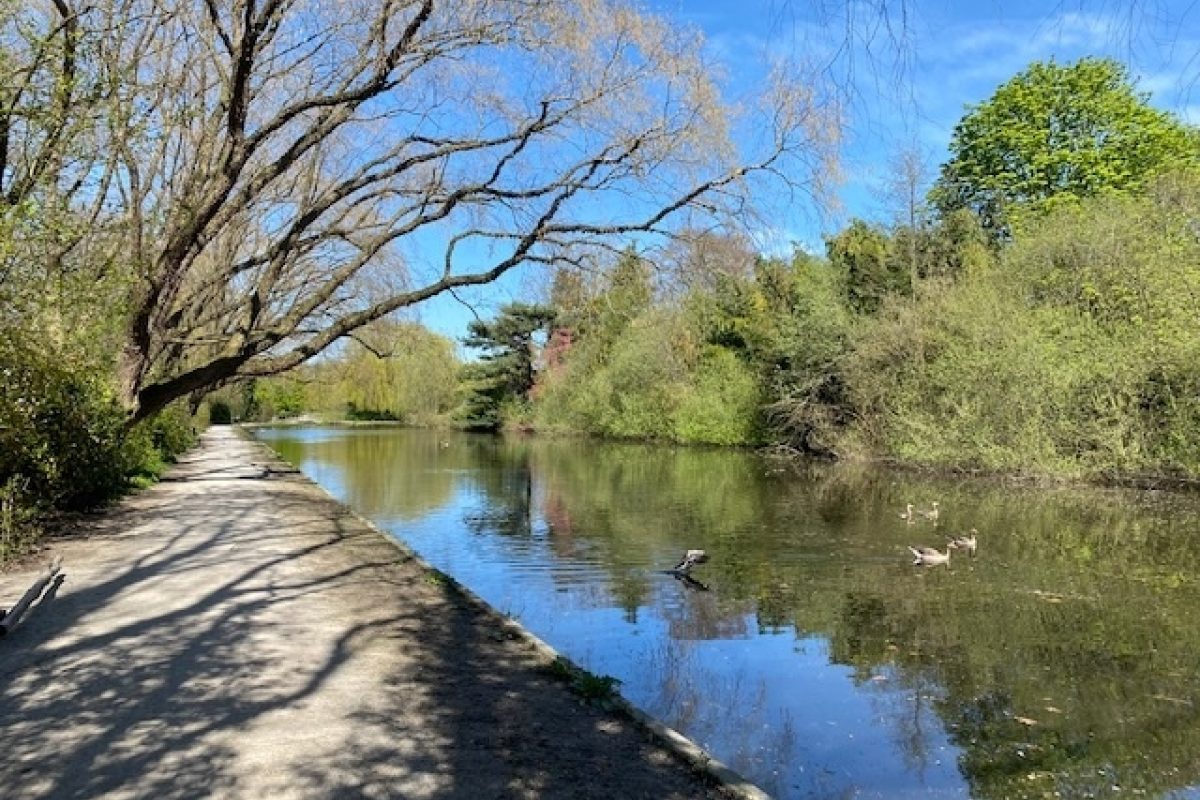 Zonnedauw 9 foto 46