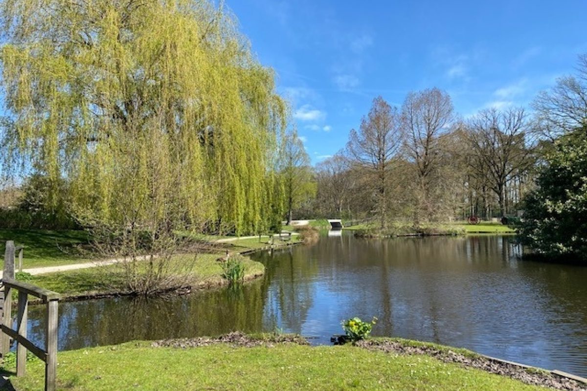 Zonnedauw 9 foto 47