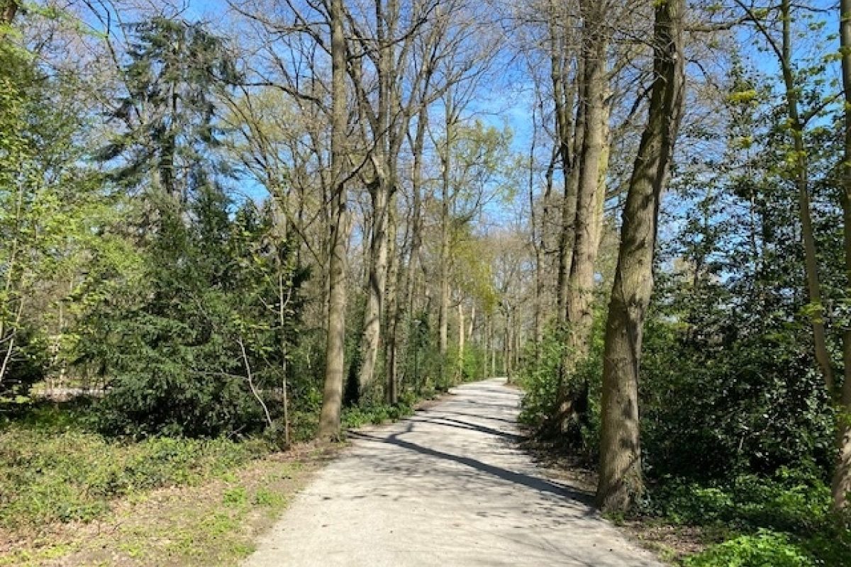 Zonnedauw 9 foto 49
