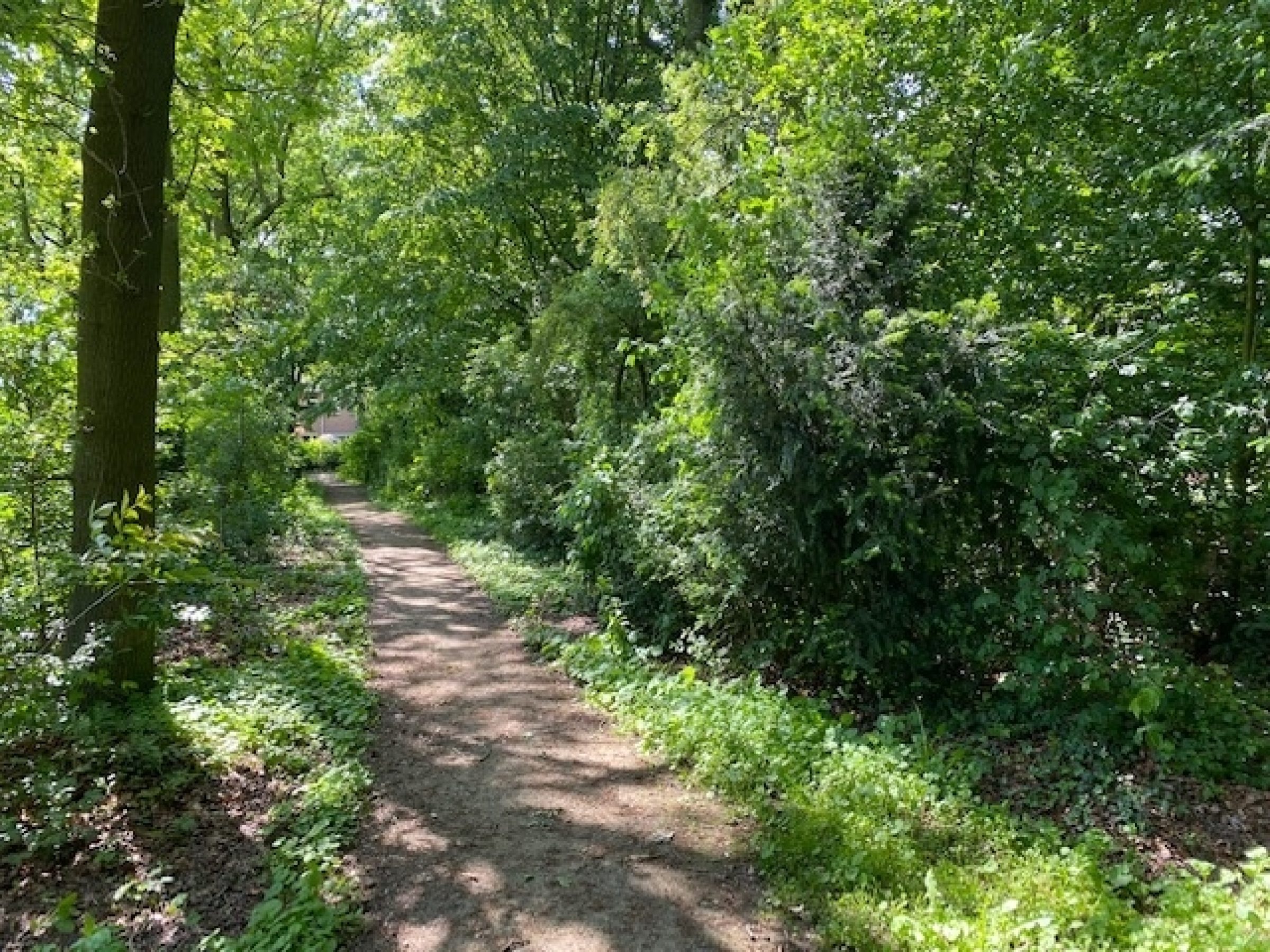 Zonnedauw 9 foto 39