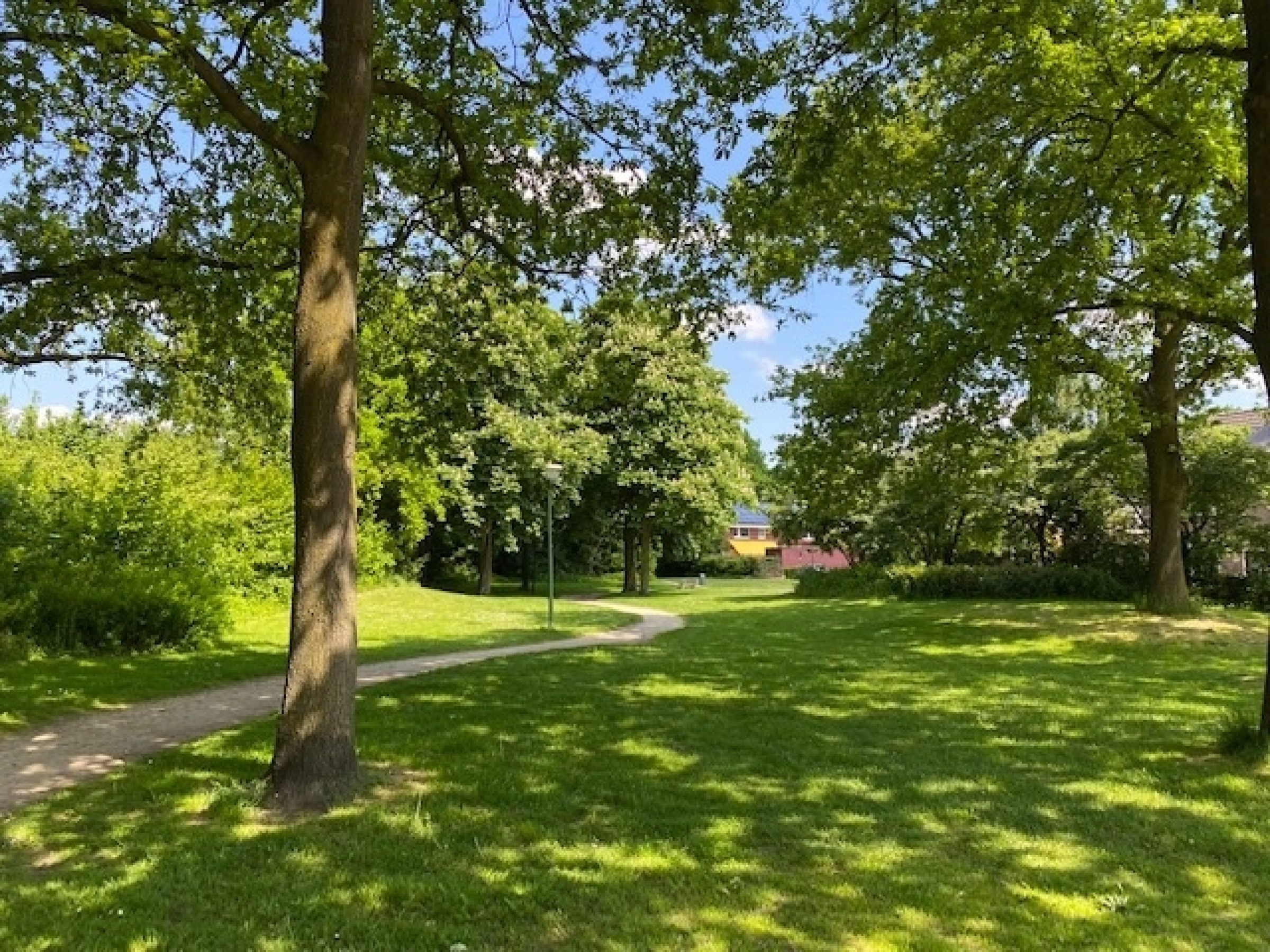 Zonnedauw 9 foto 44