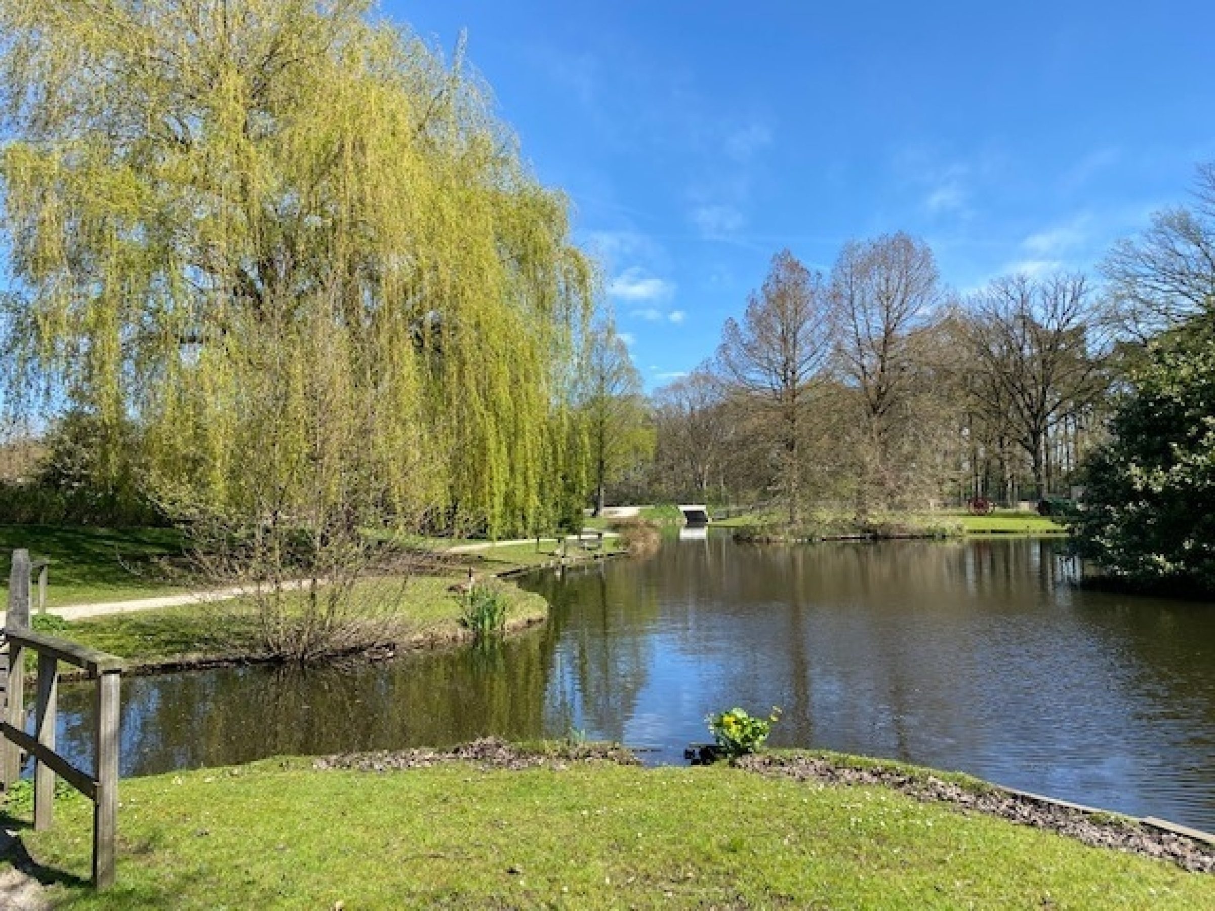 Zonnedauw 9 foto 47