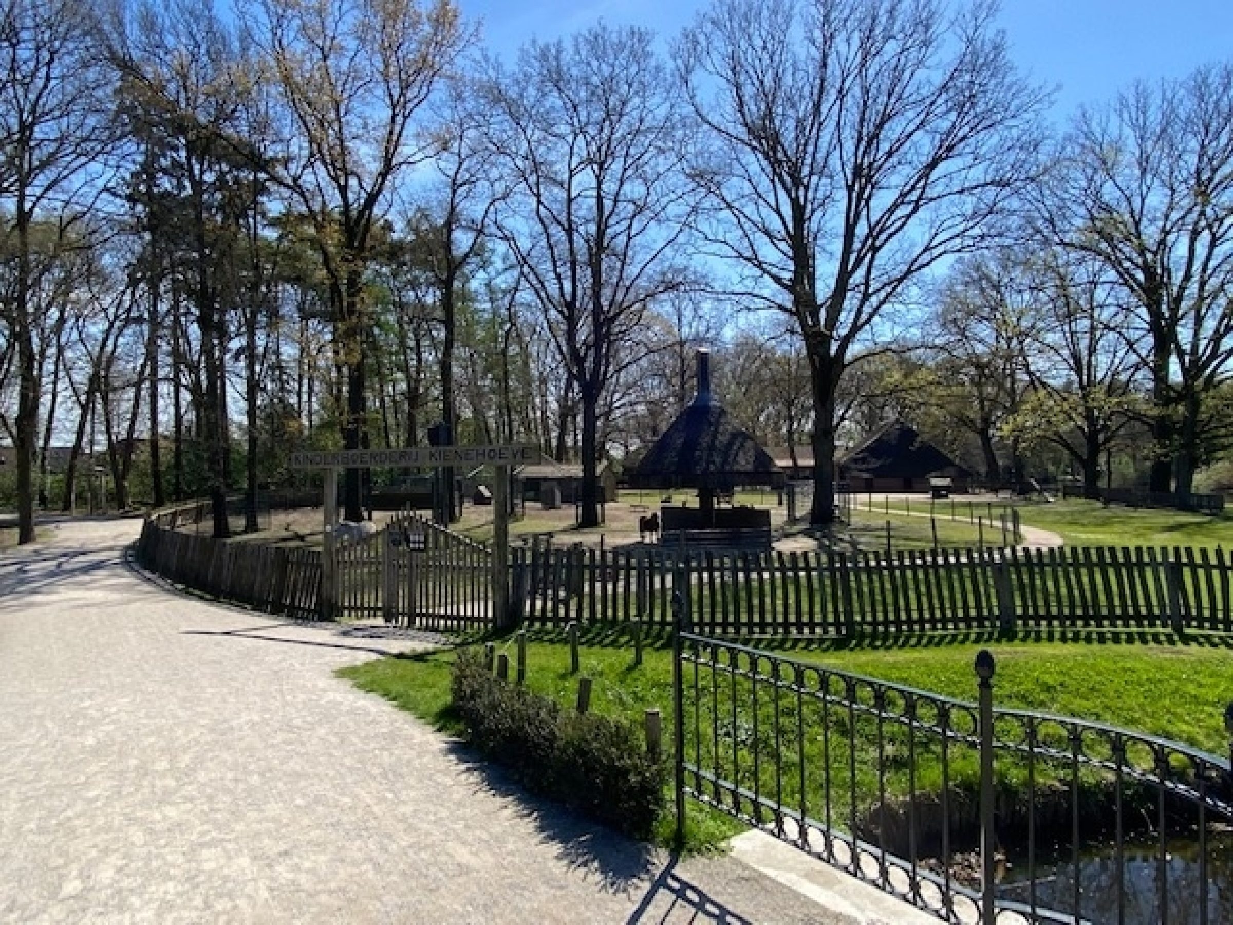 Zonnedauw 9 foto 48