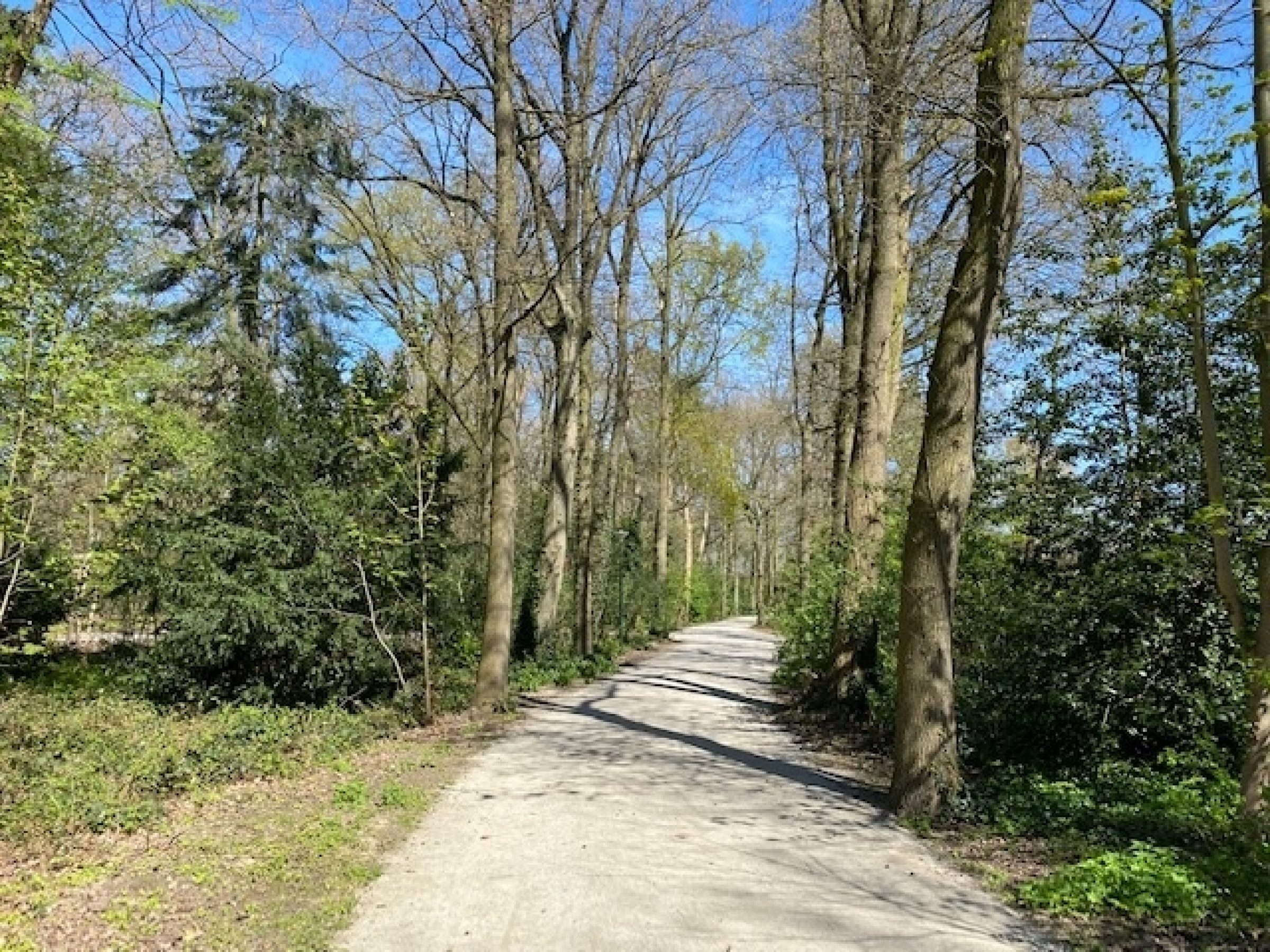 Zonnedauw 9 foto 49