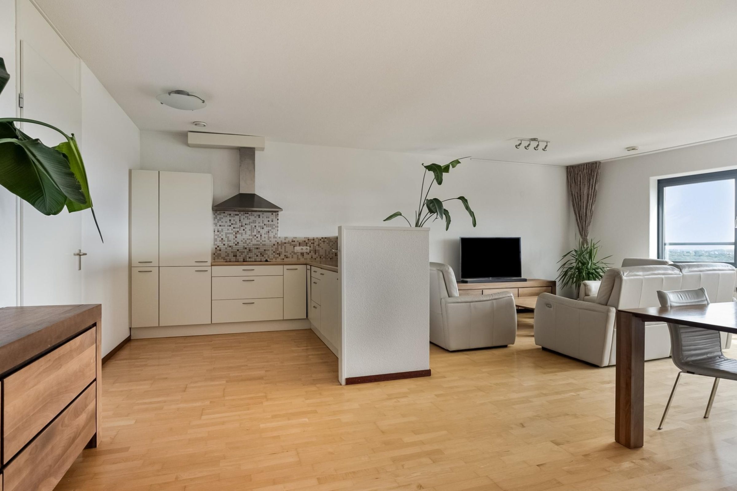 Ds Theodor Fliednerstraat 213 foto 11