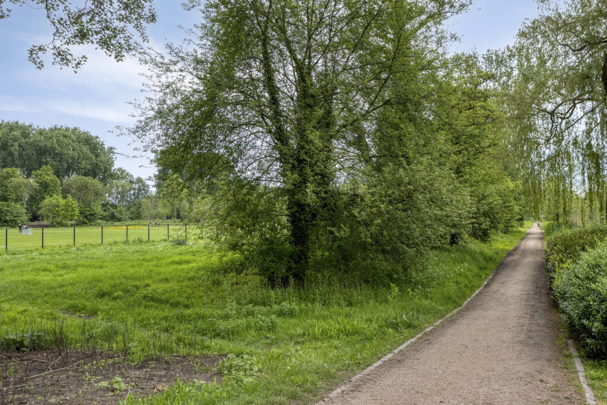 Habsburglaan 75 foto 49