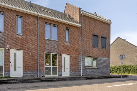 Honingbij 80 hoofdfoto