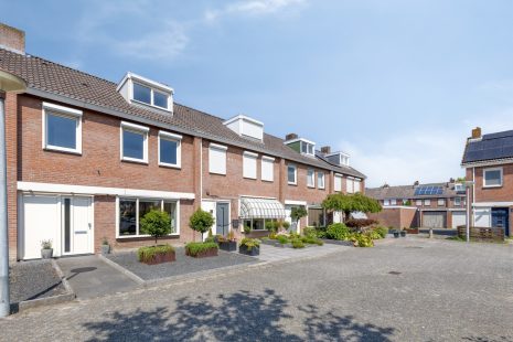 Kogelsmortel 9 hoofdfoto