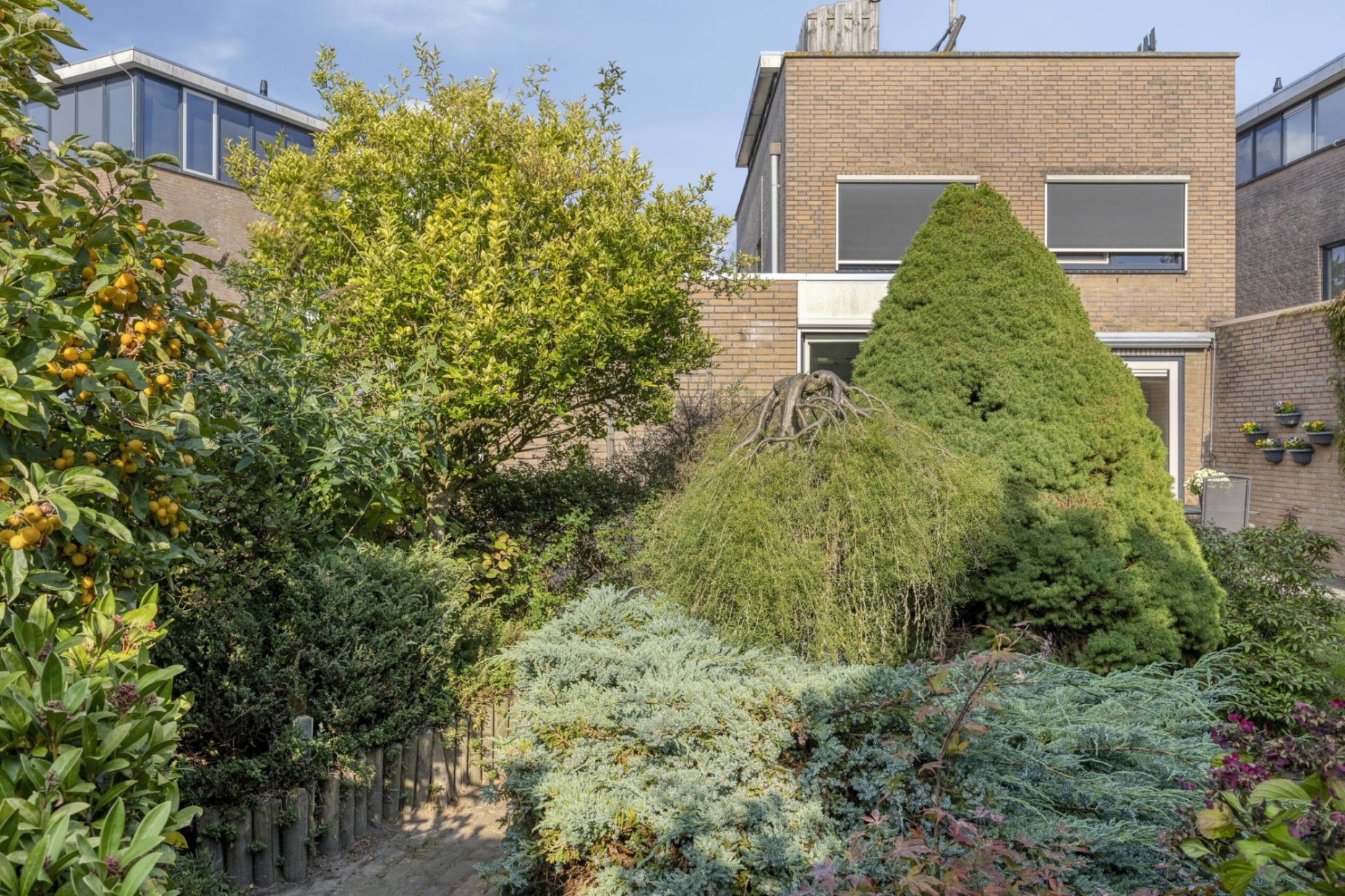 Sprookjesbosch 91 foto 51