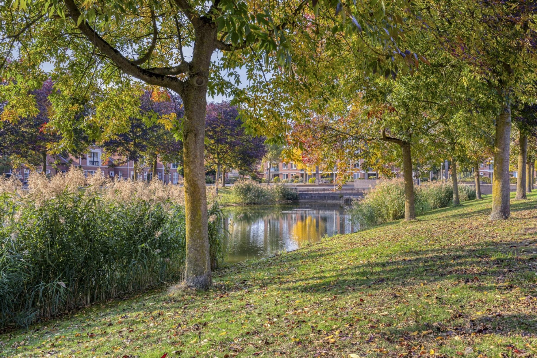 Sprookjesbosch 91 foto 57