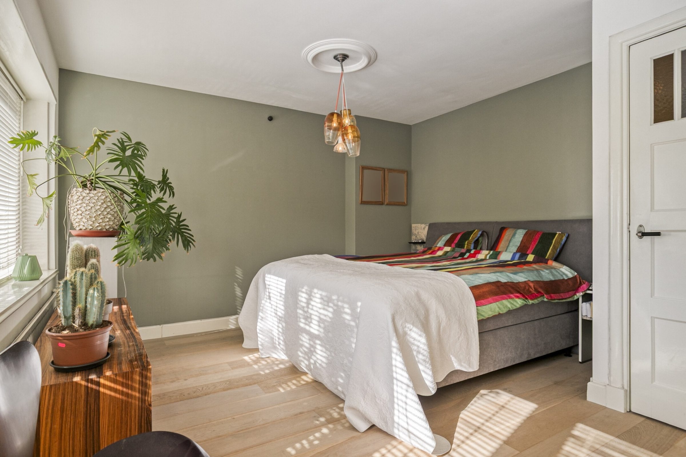 Alard du Hamelstraat 24 foto 19