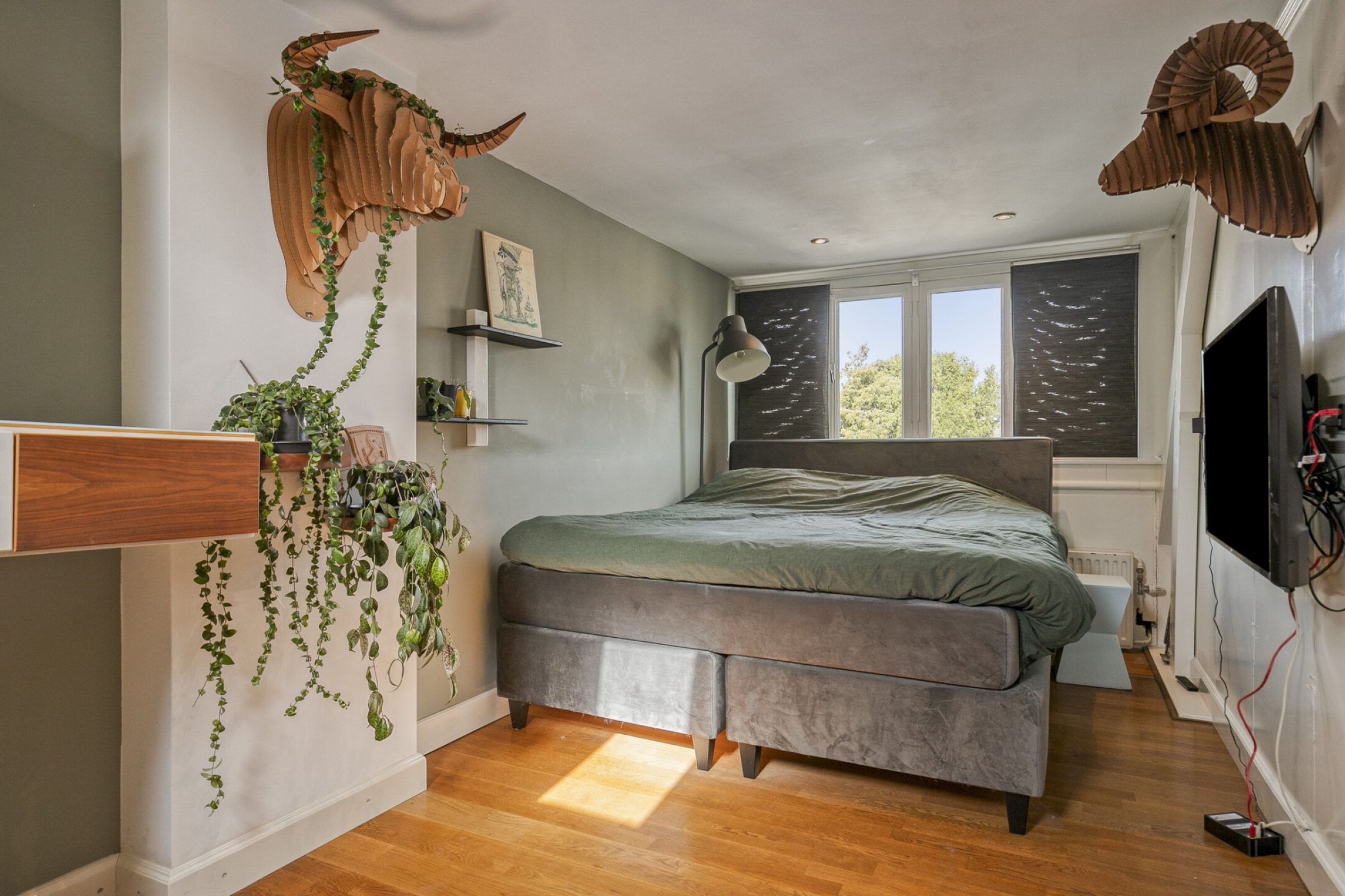 Alard du Hamelstraat 24 foto 27