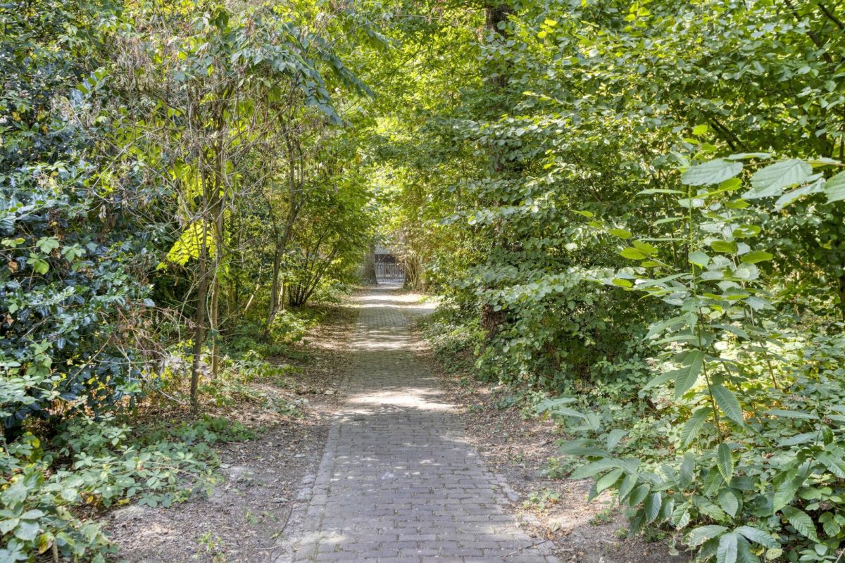 De Twijnder 8 foto 4