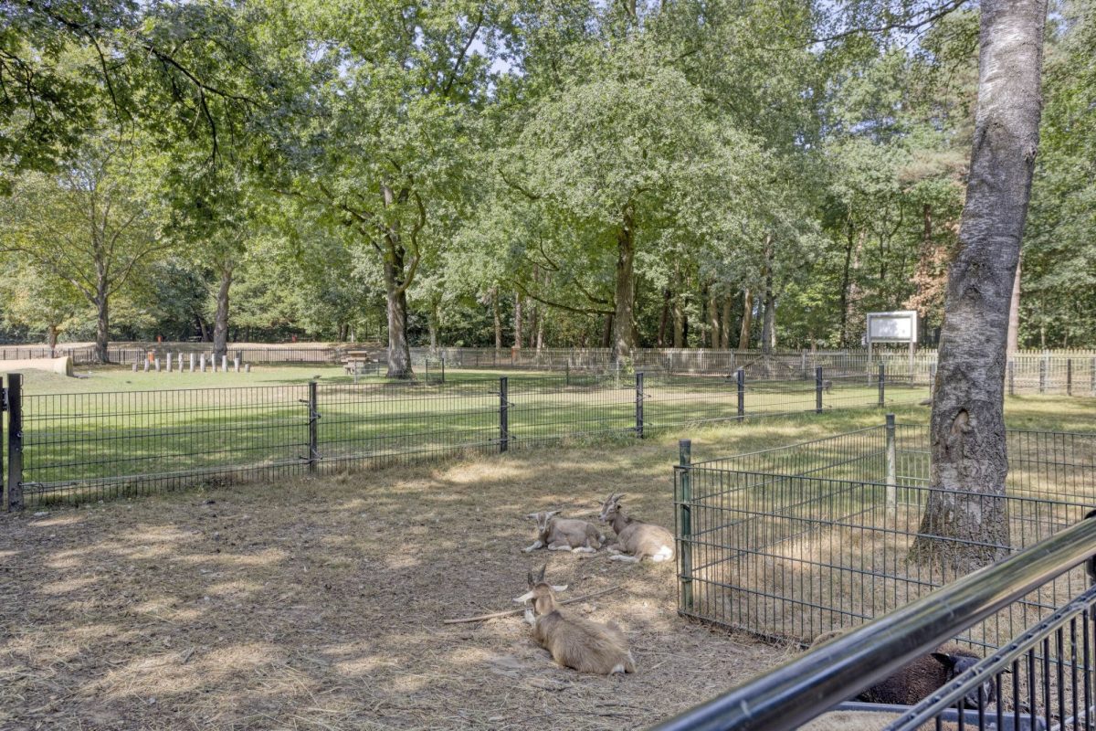 De Twijnder 8 foto 41