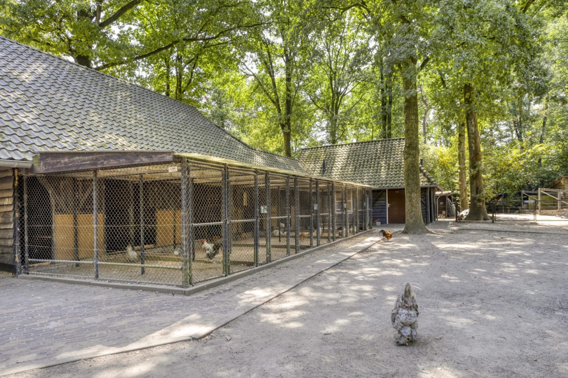 De Twijnder 8 foto 40