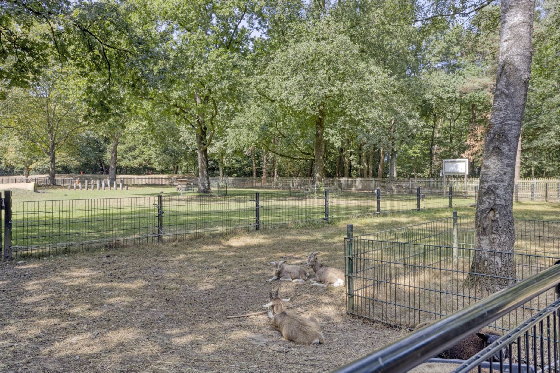 De Twijnder 8 foto 41
