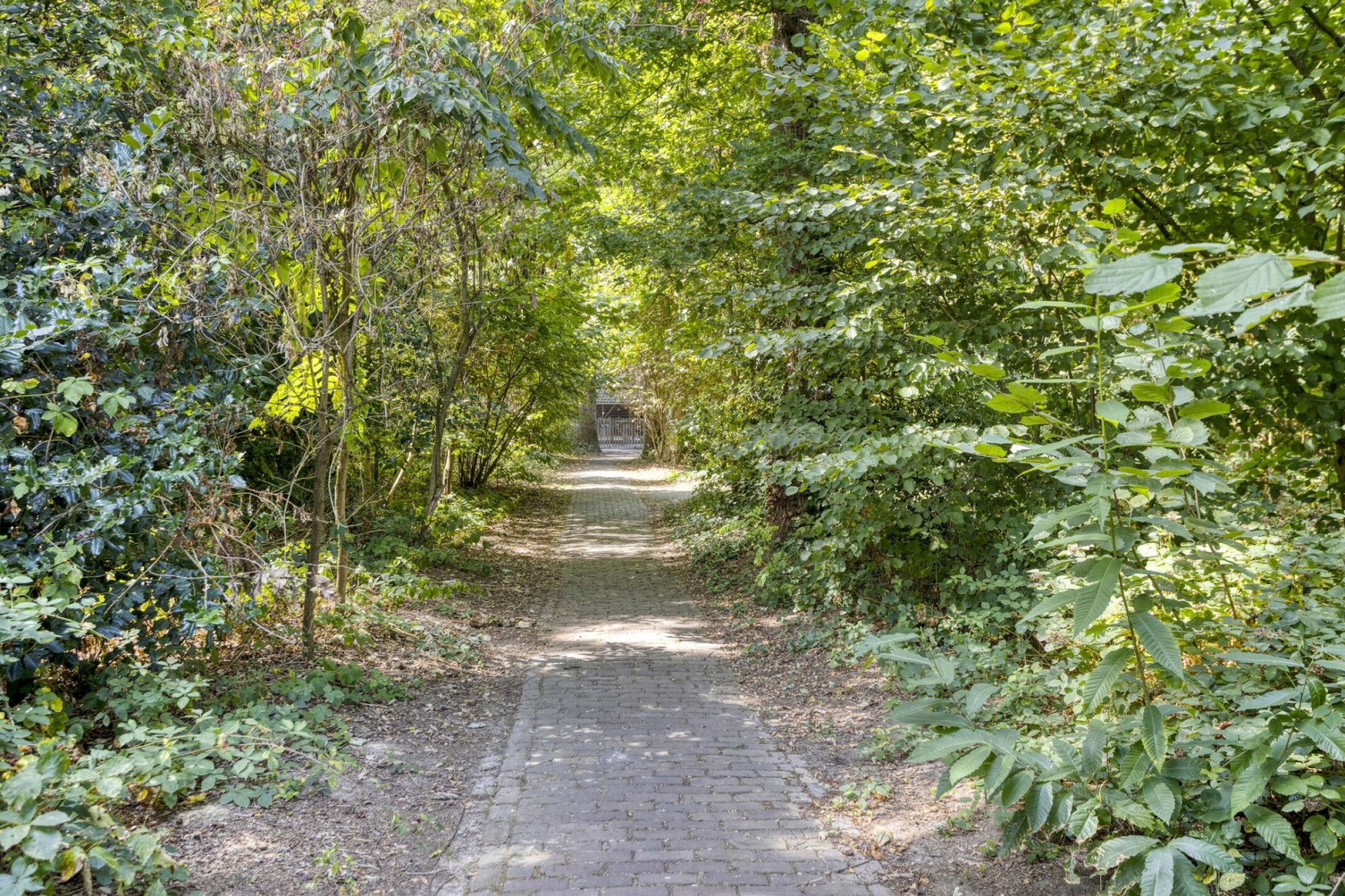 De Twijnder 8 foto 4