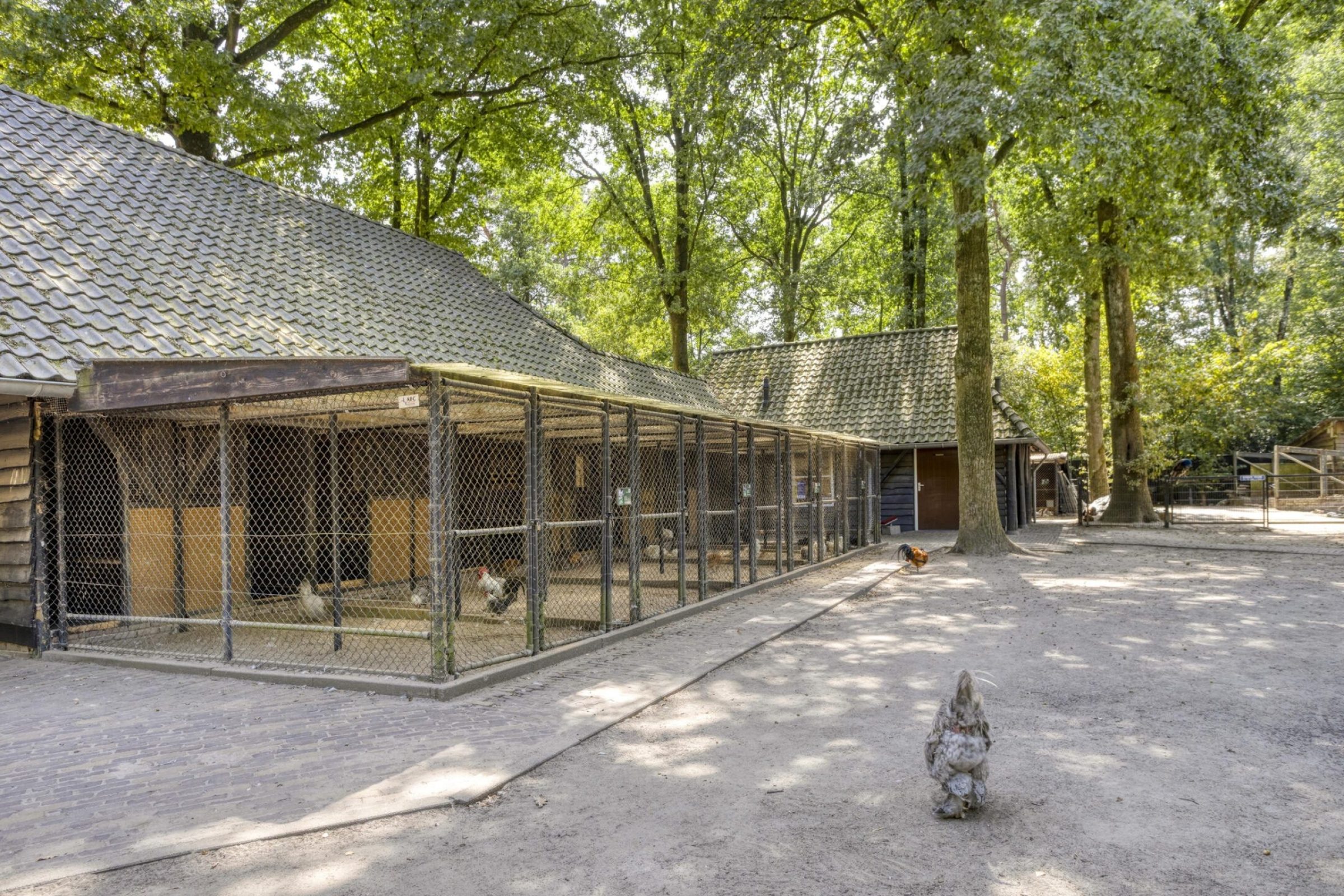 De Twijnder 8 foto 40