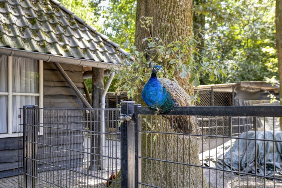 De Twijnder 8 foto 43