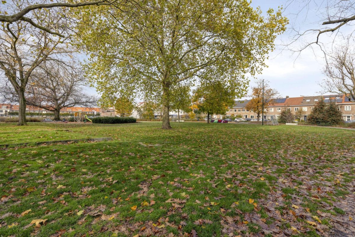 Pioenroosstraat 10 foto 36