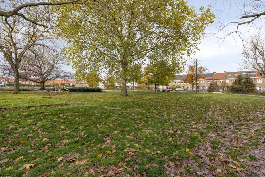 Pioenroosstraat 10 foto 36