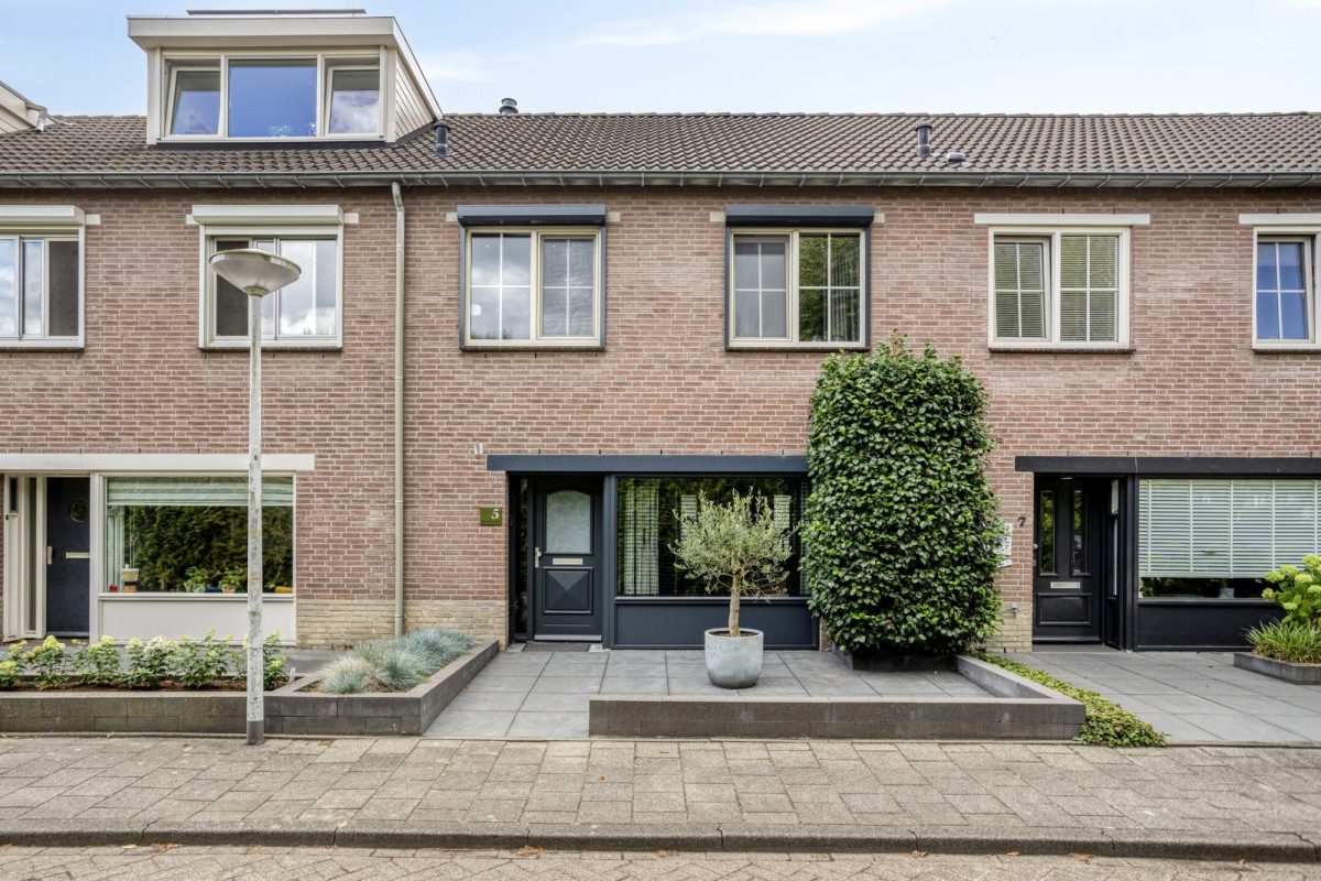 Lijsterbes 5 hoofdfoto