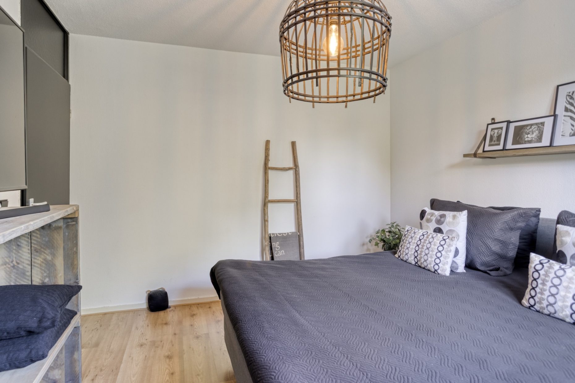 Lijsterbes 5 foto 30