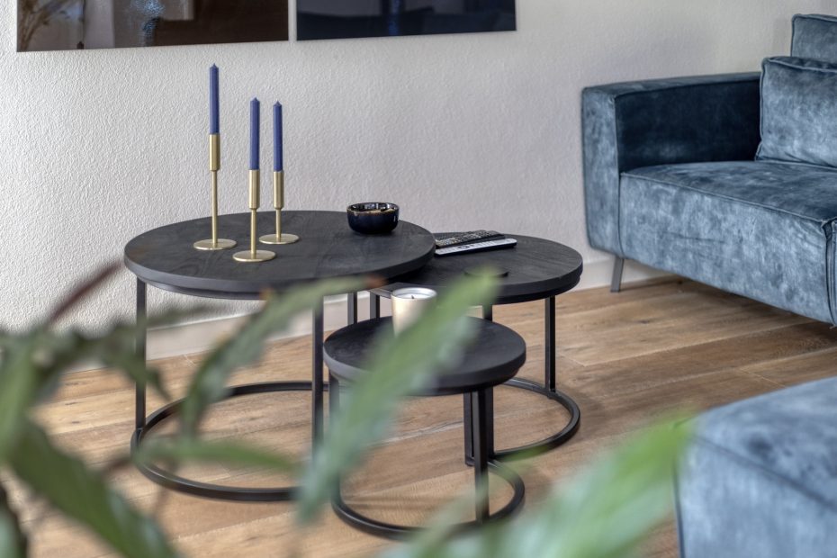 Lijsterbes 5 foto 17